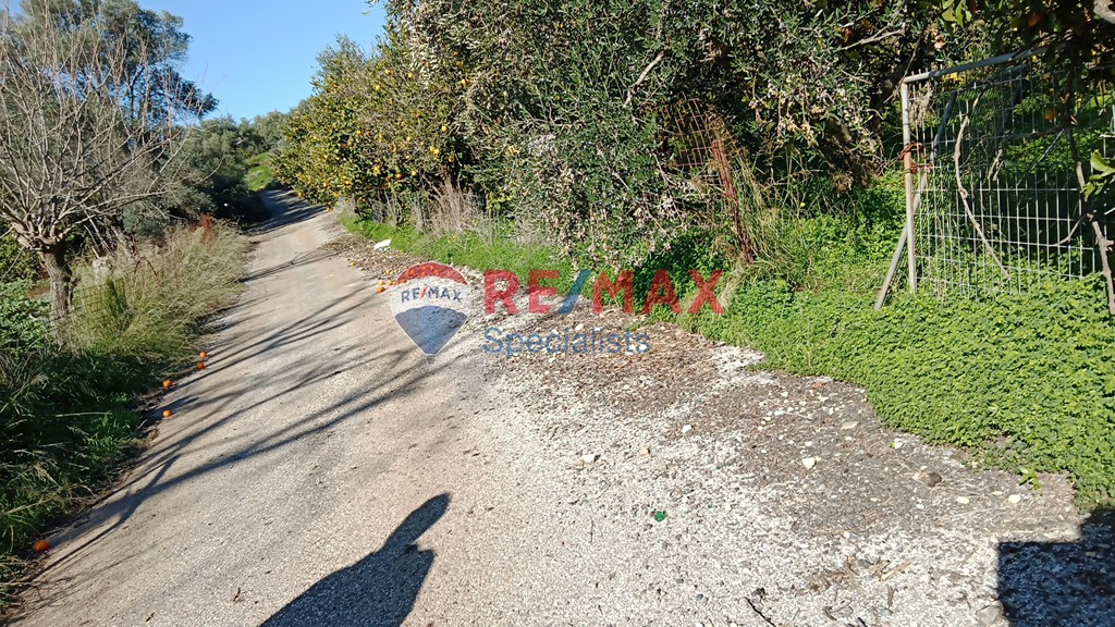 Οικόπεδο 4.113 τ.μ. προς πώληση, Βουκολιές