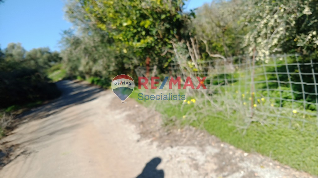 Οικόπεδο 4.113 τ.μ. προς πώληση, Βουκολιές
