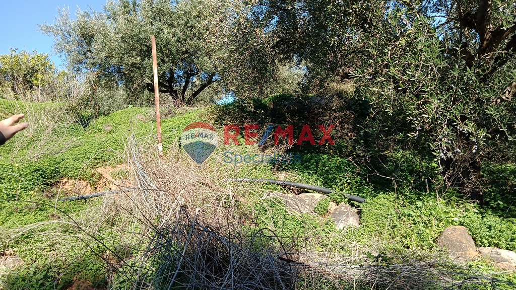 Οικόπεδο 4.113 τ.μ. προς πώληση, Βουκολιές