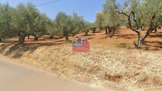 Οικόπεδο 4.090 τ.μ. για πώληση