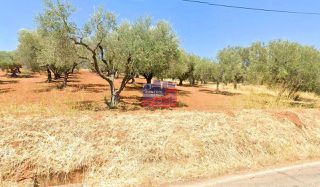 Οικόπεδο 4.090 τ.μ. για πώληση, Αχαΐα, Αίγιο-thumb-1