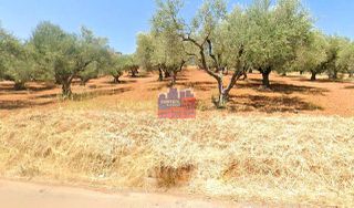Οικόπεδο 4.090 τ.μ. για πώληση, Αχαΐα, Αίγιο-thumb-2