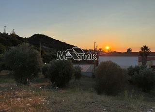 Αγροτεμάχια 3.870 τ.μ. για πώληση