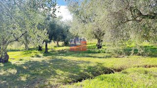 Οικόπεδο 1.000 τ.μ. για πώληση
