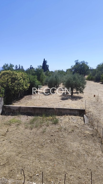 Μονοκατοικία 228 τ.μ. πρός πώληση, Εύβοια, Αμάρυνθος