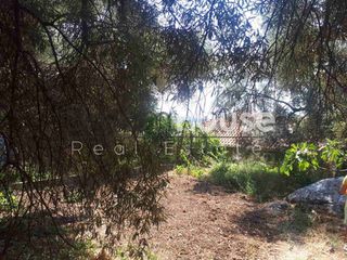 Οικόπεδο 328 τ.μ. για πώληση, Ν. Λευκάδας, Λευκάδα-thumb-5