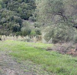 Οικόπεδο 345 τ.μ. για πώληση
