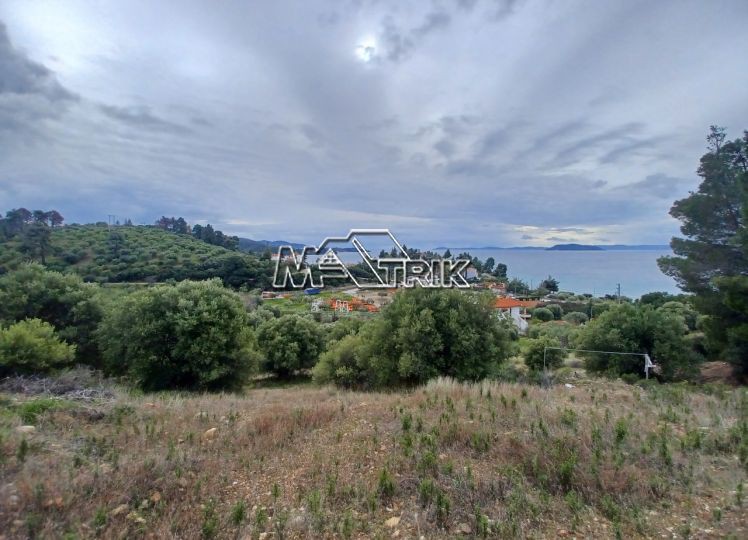 Αγροτεμάχια 6.900 τ.μ. προς πώληση, Νέος Μαρμαράς