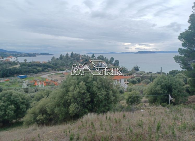 Αγροτεμάχια 6.900 τ.μ. προς πώληση, Νέος Μαρμαράς