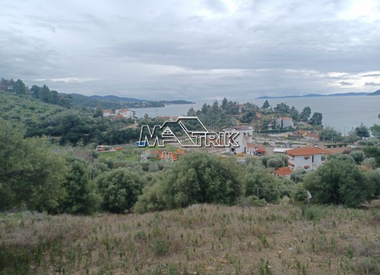 Αγροτεμάχια 6.900 τ.μ. προς πώληση, Νέος Μαρμαράς