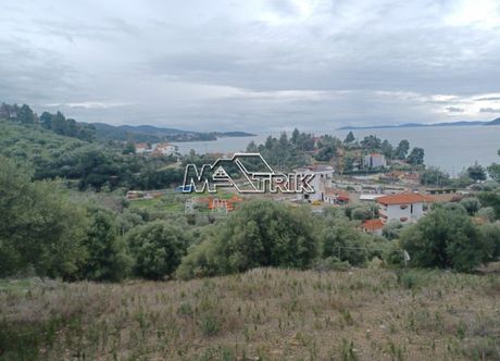 Αγροτεμάχια 6.900 τ.μ. για πώληση