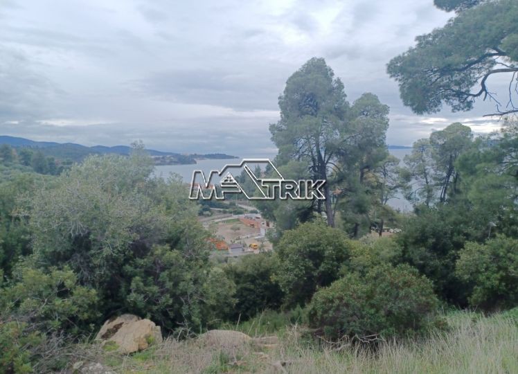 Αγροτεμάχια 6.900 τ.μ. προς πώληση, Νέος Μαρμαράς