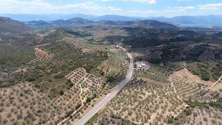 Αγροτεμάχια 10.000 τ.μ. προς πώληση, Πυργιώτικα-thumb-24