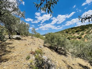 Αγροτεμάχια 10.000 τ.μ. προς πώληση, Πυργιώτικα-thumb-15