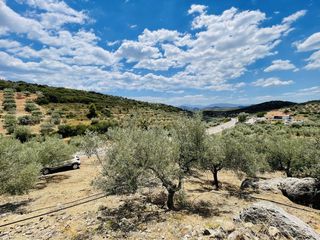 Αγροτεμάχια 10.000 τ.μ. προς πώληση, Πυργιώτικα-thumb-21