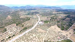 Αγροτεμάχια 10.000 τ.μ. προς πώληση, Πυργιώτικα-thumb-18