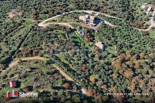 Οικόπεδο 6.900 τ.μ. για πώληση, Μεσσηνία, Λεύκτρος-thumb-3