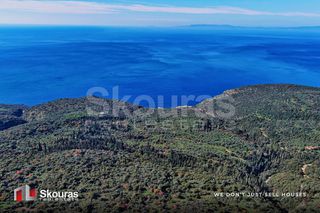 Οικόπεδο 6.900 τ.μ. για πώληση, Μεσσηνία, Λεύκτρος-thumb-13