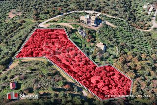 Οικόπεδο 6.900 τ.μ. για πώληση, Μεσσηνία, Λεύκτρος-thumb-2