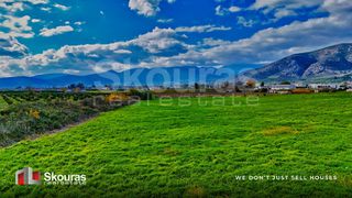 Αγροτεμάχια 16.845 τ.μ. για πώληση, Αργολίδα, Άργος-thumb-22