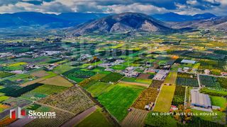 Αγροτεμάχια 16.845 τ.μ. για πώληση, Αργολίδα, Άργος-thumb-10