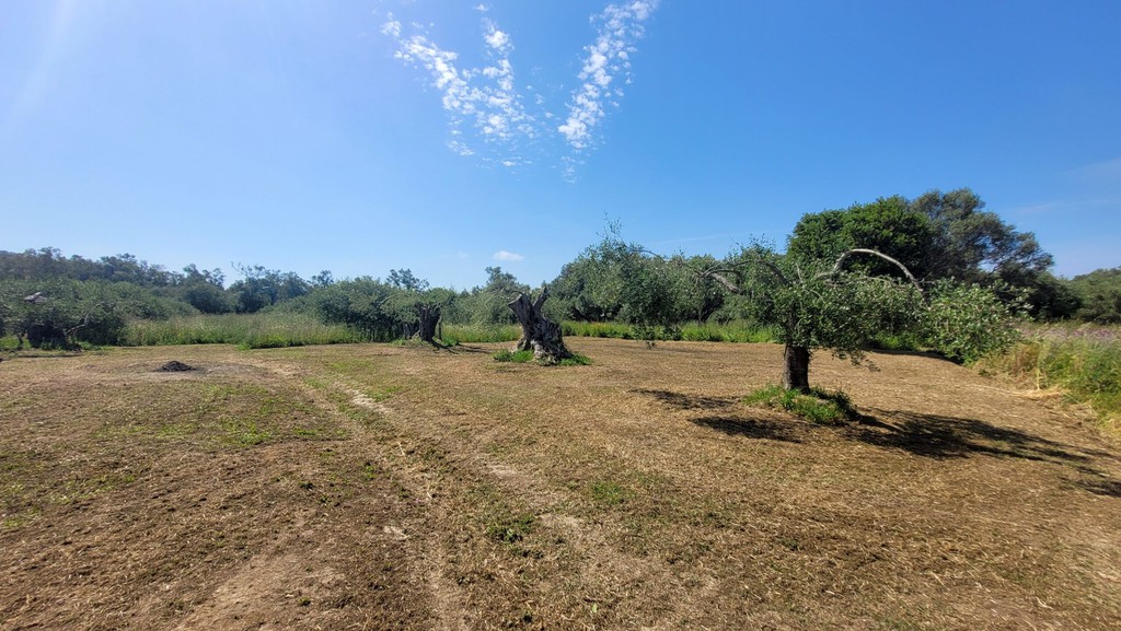 Οικόπεδο 4.448 τ.μ. πρός πώληση, Ν. Κέρκυρας, Κέρκυρα
