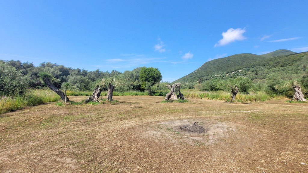 Οικόπεδο 4.448 τ.μ. πρός πώληση, Ν. Κέρκυρας, Κέρκυρα