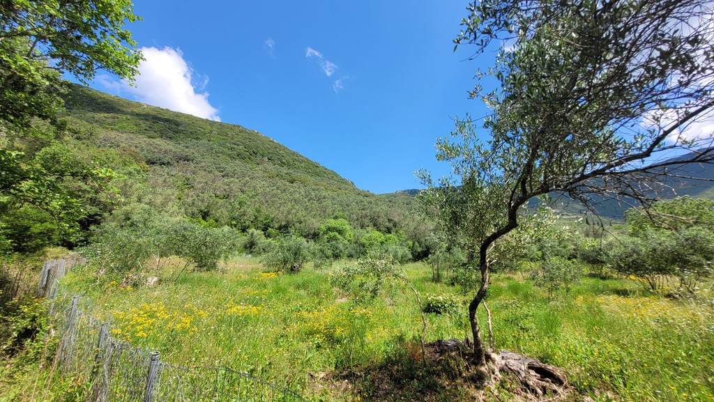 Οικόπεδο 1.459 τ.μ. πρός πώληση, Ν. Κέρκυρας, Κέρκυρα