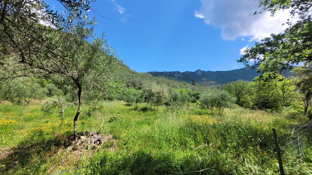 Οικόπεδο 1.459 τ.μ. πρός πώληση, Ν. Κέρκυρας, Κέρκυρα