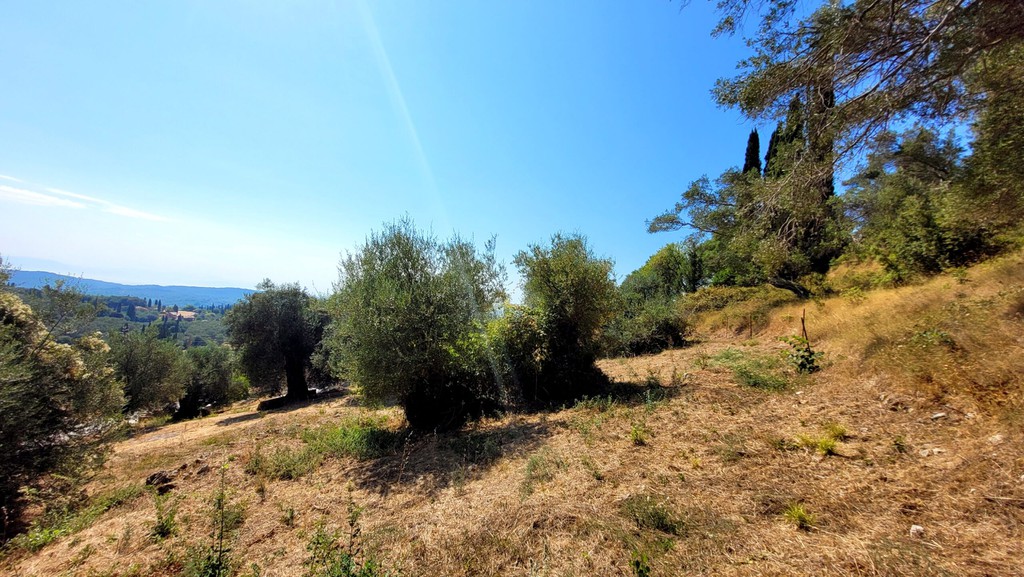 Οικόπεδο 4.906 τ.μ. πρός πώληση, Ν. Κέρκυρας, Κέρκυρα