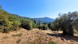Οικόπεδο 4.906 τ.μ. για πώληση