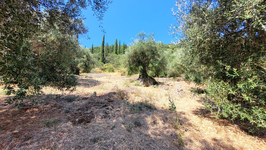 Οικόπεδο 4.906 τ.μ. πρός πώληση, Ν. Κέρκυρας, Κέρκυρα