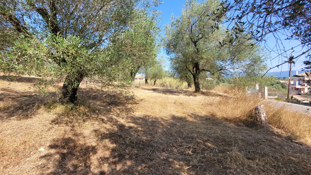 Οικόπεδο 2.346 τ.μ. πρός πώληση, Ν. Κέρκυρας, Κέρκυρα