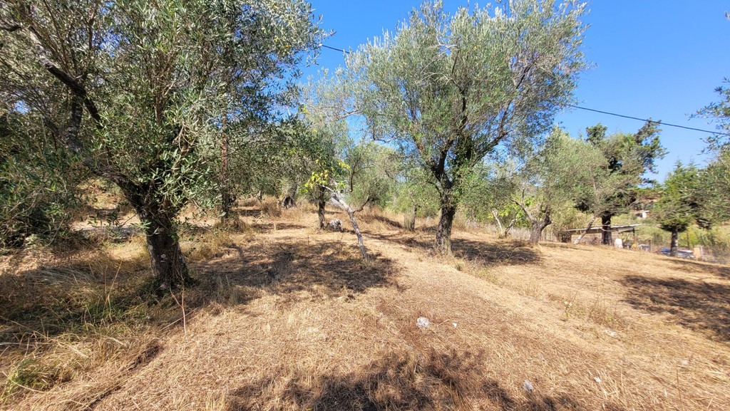 Οικόπεδο 2.346 τ.μ. πρός πώληση, Ν. Κέρκυρας, Κέρκυρα