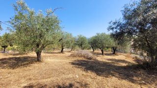 Οικόπεδο 2.346 τ.μ. για πώληση
