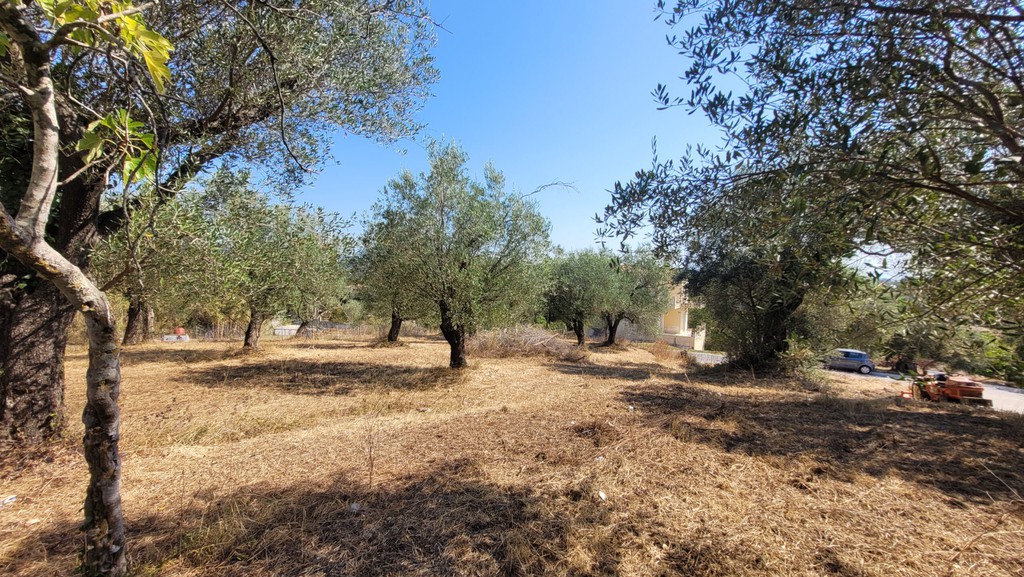 Οικόπεδο 2.346 τ.μ. πρός πώληση, Ν. Κέρκυρας, Κέρκυρα