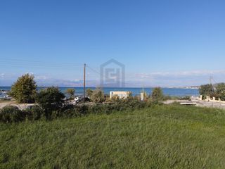Οικόπεδο 5.500 τ.μ. προς πώληση, Θινάλιο-thumb-5