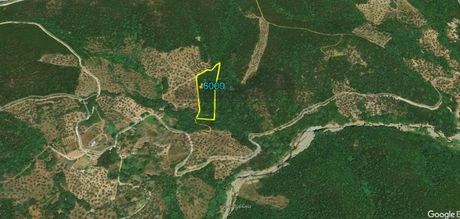 Parcel 6.000 sqm for sale