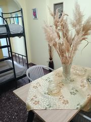 Studio / γκαρσονιέρα 45 τ.μ. για ενοικίαση, Εύβοια, Στύρα-thumb-8