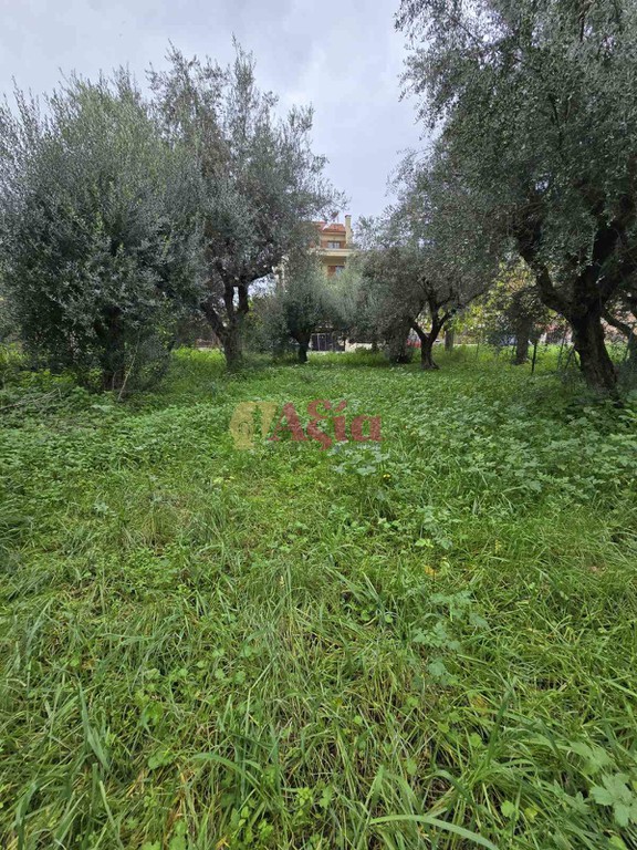 Οικόπεδο 470 τ.μ. προς πώληση, Εγλυκάδα