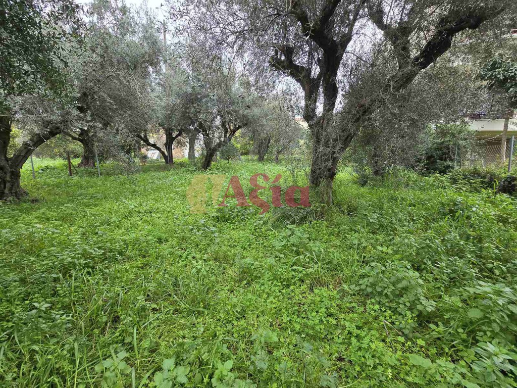 Οικόπεδο 470 τ.μ. προς πώληση, Εγλυκάδα