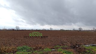 Αγροτεμάχια 15.600 τ.μ. για πώληση