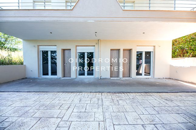Studio 25 sqm for sale, Chalkidiki, Kallikrateia