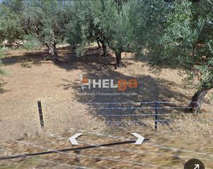Οικόπεδο 2.500 τ.μ. πρός πώληση, Αχαΐα, Φαρές-thumb-1