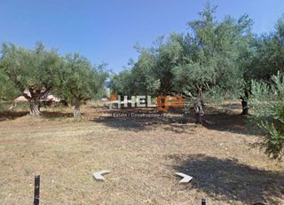 Οικόπεδο 2.500 τ.μ. πρός πώληση, Αχαΐα, Φαρές-thumb-2