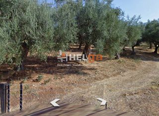 Οικόπεδο 2.500 τ.μ. πρός πώληση, Αχαΐα, Φαρές-thumb-3