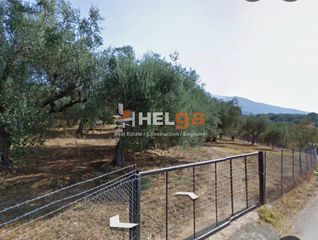 Οικόπεδο 2.500 τ.μ. για πώληση