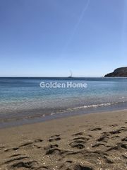 Αγροτεμάχια 4.025 τ.μ. για πώληση