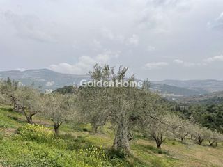 Οικόπεδο 2.750 τ.μ. προς πώληση