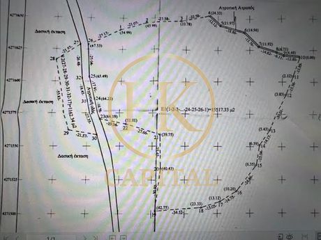 Οικόπεδο 16.680 τ.μ. για πώληση